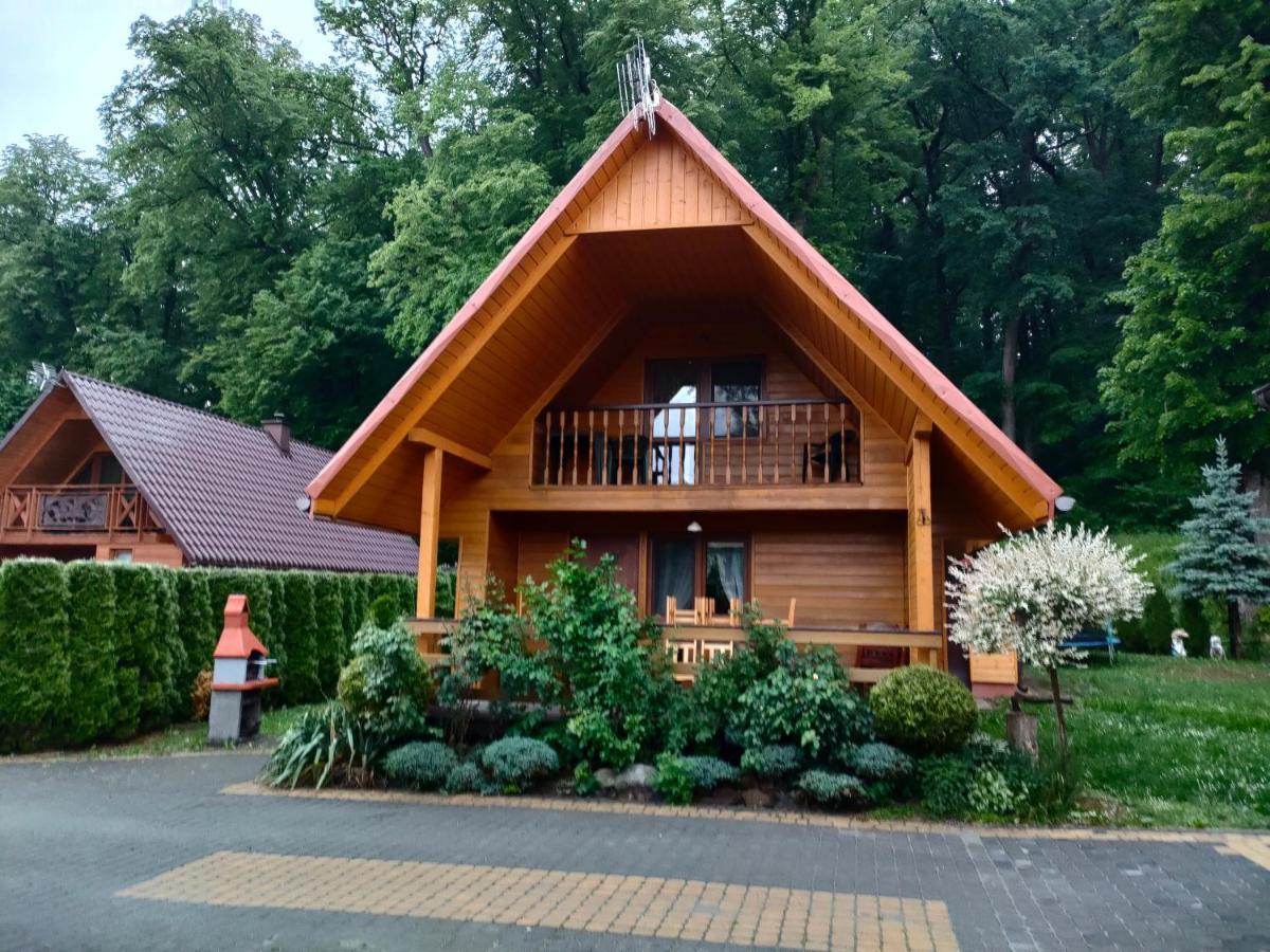 Domki I Pokoje U Borsa Villa Lesko Room photo